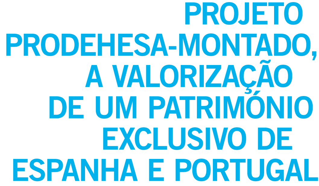 Projeto Prodehesa-Montado  a valoriza  o de um patrim nio exclusivo de Espanha e Portugal