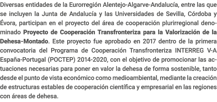 Diversas entidades de la Eurorregi n Alentejo-Algarve-Andaluc a  entre las que se incluyen la Junta de Andaluc a y la   
