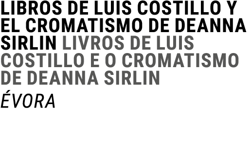 Libros de Luis Costillo y el cromatismo de Deanna Sirlin Livros de Luis Costillo e o cromatismo de Deanna Sirlin  vora 