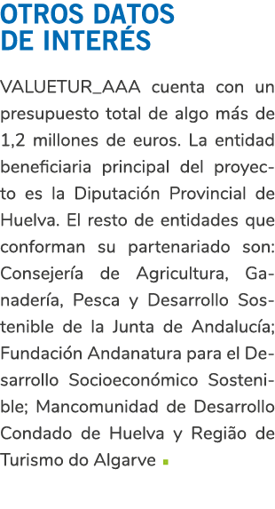 Otros datos de inter s VALUETUR_AAA cuenta con un presupuesto total de algo m s de 1 2 millones de euros  La entidad    